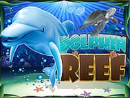 Dolphin Reef