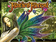 Fairies Forest