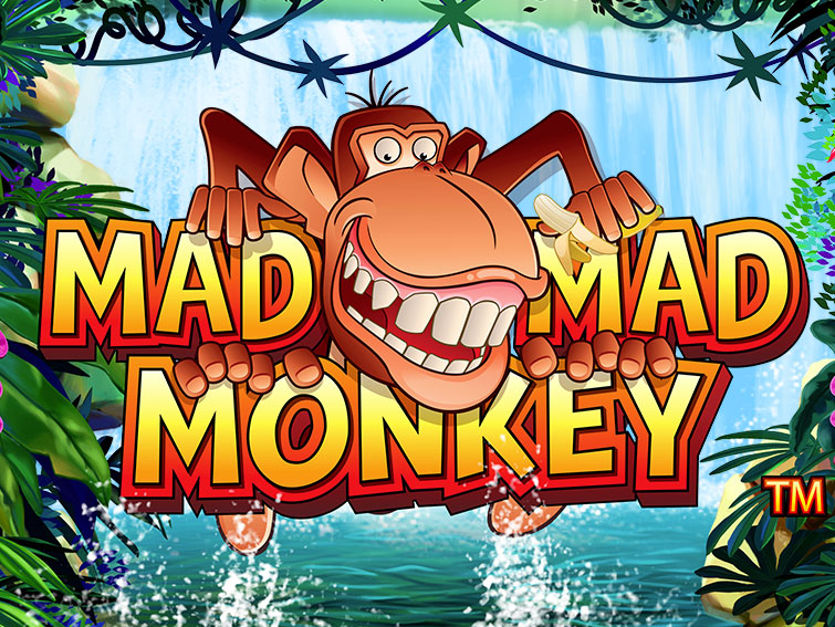 Mad Mad Monkey